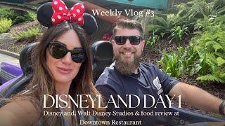 Disneyland Paris Day 1 | Pirates, Rhythms of the Pride Lands, ToT & Downtown | Day 3