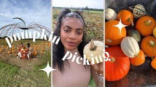 Pumpkin Patch | ZANGURU