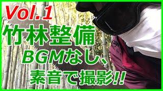 【田舎暮らし】【竹林整備】けっこう好きな作業です。竹を切る音と、枝を払う音が心地良い!!危険を回避しつつ、快適な田舎作業を!!