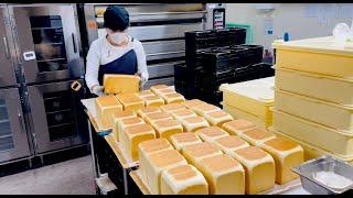 She WAKES UP at 4AM to make ALL this Bread Everyday! Japanese Breadmaking!