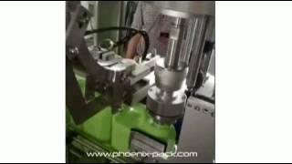 Pick and Place Capping Machine