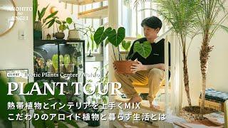 【PLANT TOUR】熱帯植物とインテリアのMIX こだわりのアロイド植物と暮らす生活とは｜aroid｜ルームツアー｜2人暮らし｜観葉植物