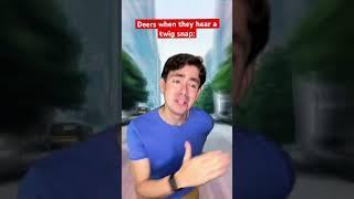 Deers be like that... #shorts #funny