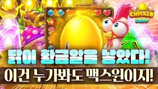 [슬롯][슬롯머신]  치킨드롭 CHICKEN DROP  닭이 황금알을 낳았다! 이건 누가봐도 맥스윈이지! [슬롯게임]