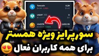 سورپرایز خفن و باورنکردنی همستر در فصل جدید  اگر الماس همستر داری همین الان باید... (دو روز مونده)