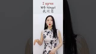 Learn Basic Chinese Phrases: "I can/I will/I see/I agree/I promise" in Mandarin Chinese