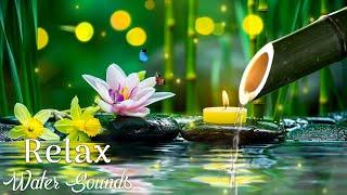 Relaxing Piano Music + Insomnia and Healing  Relaxing Music, Sleep Music, Meditation, Nature Sound