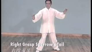 Yang style Simplified  Tai Chi 24 Form  - Liang, Shou Yu