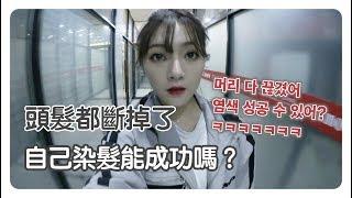 頭髮都斷掉了 自己染頭髮能成功嗎？ 머리 다 끊겼어 염색 성공 할 수 있어  ？ ㅋㅋㅋㅋㅋㅋㅋ ㅋㅋㅋㅋㅋㅋㅋ