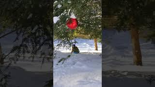 More sledding! #sledding #snow #winterfun