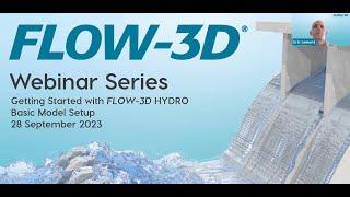 Basic Model Setup | FLOW-3D HYDRO