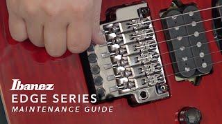 Edge Series Tremolo Bridge Maintenance Guide