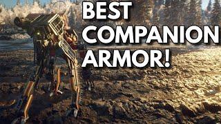 What Is The BEST Companion Armor?