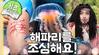 [EBS놀이터] 해파리🪼｜바닷가에서 조심 또 조심!｜우리 몸 X파일｜최고다! 호기심 딱지｜EBS키즈