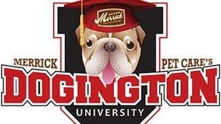 Merrick Pet Care's Dogington University - Dianne Sarasin