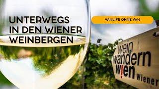 Wien | Wein | Wandern