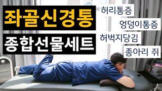 검증된 운동으로 좌골신경통 극복하기. 따라하세요 [엉덩이통증, 허리통증, 다리쥐나는 경우 효과최고]