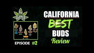 CALIFORNIA Best Buds Review #2 [Bud Report by Captain Hooter]