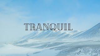 Tranquil | VD Productions