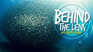 Behind the Lens of Underwater Photographer Brent Durand