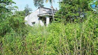 I RANDOMLY help clean up an abandoned house, overgrown weeds that needed cleaning and TRANSFORMATION