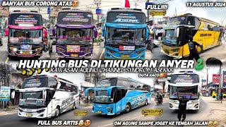 FULL BUS TELOLET BASURIhunting bus di tikungan anyer viral agung channelarea wajib basuri‼️