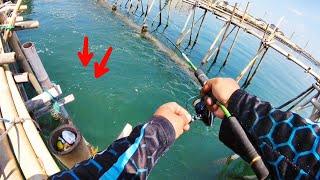 TAK DISANGKA !! MANCING DI BAGAN SEPERTI DI KOLAM || MANCING SEMARANG