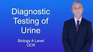 A Level Biology Revision (Year 13) "Diagnostic Testing of Urine"