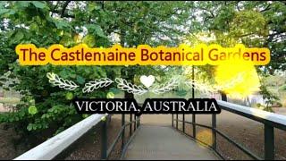 The Castlemaine Botanical Gardens || Victoria, Australia