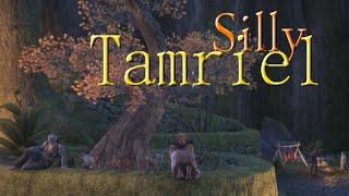 Silly Tamriel Adventures: This Game is Busted