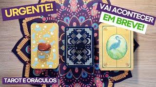 TAROT: URGENTE! Vai acontecer nos Próximos 7 Dias! | Tarot e Oráculos