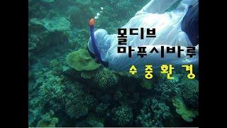 몰디브 리조트 신혼여행 마푸시바루 스노클링 포인트와 스노클링투어(Maafushivaru Snorkeling Maldives Resort)