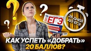 25 дней до ЕГЭ: как успеть «добрать» 20 баллов? |  Обществознание ЕГЭ УМСКУЛ