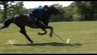 Your Horse tries - Tent Pegging