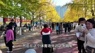 沈阳最美的银杏叶，就在市区这个大学，时间不多速来 #秋天 #银杏叶 #沈阳 #银杏黄了