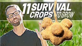 11 Crops to Grow To Survive Difficult Times!