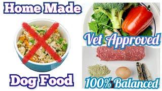 Homemade Dog Food Recipe | Vet Approved | 100% Balanced #barfdiet #homemadedogfood