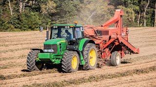 Webster Farms Ltd. Windrowing and Harvesting Yellow Eye Beans