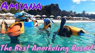 [4K] Amiana resort Nha Trang-The Best  Snorkeling Resort in Vietnam