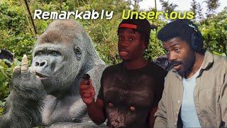 Gorillas are extremely out of pocket | The Chill Zone Reacts