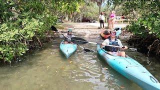 Kayak tours in Florida are helping people connect to the natural world