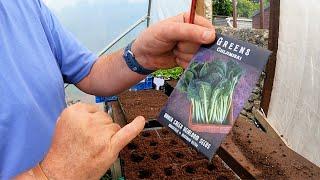 June Sowings | What To Sow In June | This Is What I'm Sowing In June