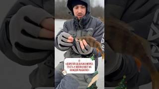 Вдруг исполнит #рыбак #fishing #риба #рибу #риболов #рибалка #риболовля #fish #окунь #рыбалка