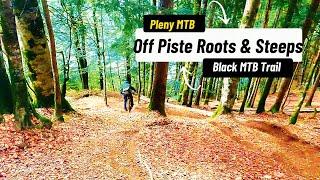 Pleney Steep and Rooty Off Piste black, putting faith in strangers. MTB Roots and Steeps in Morzine.