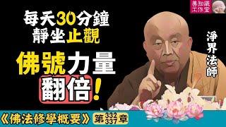 只念佛不修止觀？難怪你的佛號沒力量！ | 止觀 | 一心不亂 | 功夫成片 | 淨界法師 | 佛法修學概要 332~337