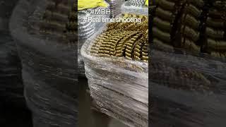 Furniture 3.8mm Roll Spring High Quality Sofa Bed Spring Wire Zigzag Springs #hardwarefactory