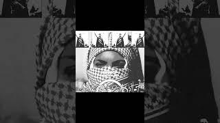 dark boom bap x griselda type beat “stock” ️