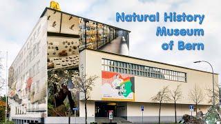 Naturhistorisches Museum Bern   | Switzerland | Livestory | Swiss View |