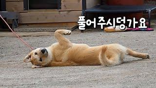이제 익숙해져야 합니다