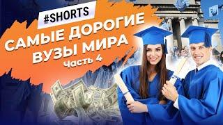 В каких ВУЗах самая высокая стоимость образования? #Shorts